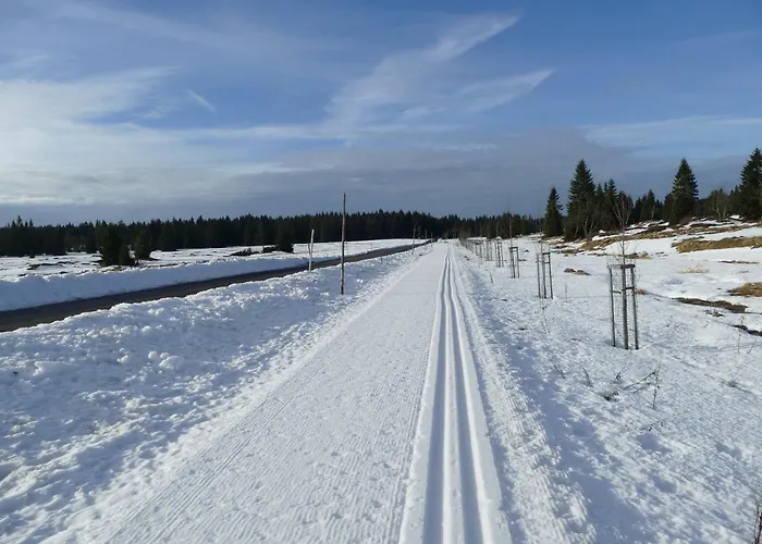 Lägenhet Na Vyhledech *